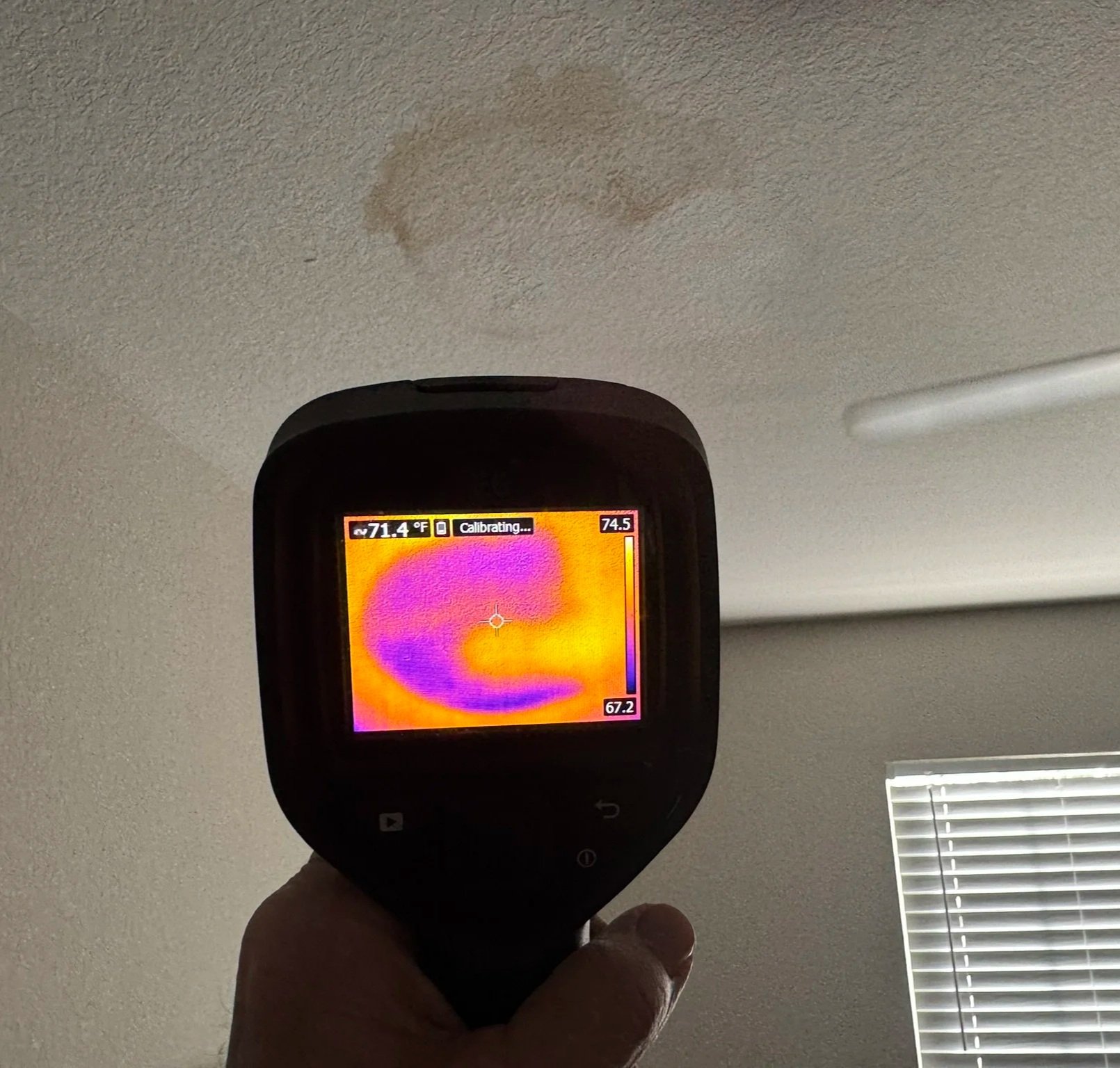 Mold assessment and remediation